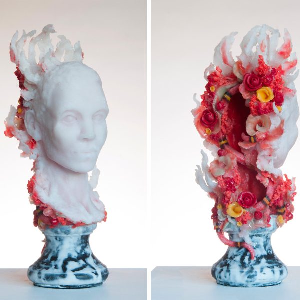 Sunflower & Eucalyptus Mix